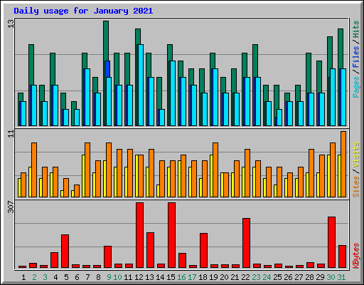 Daily usage for January 2021