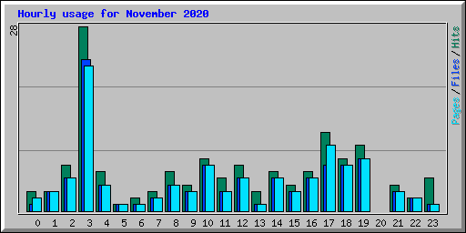 Hourly usage for November 2020