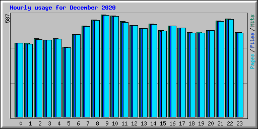 Hourly usage for December 2020