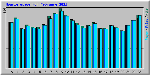 Hourly usage for February 2021