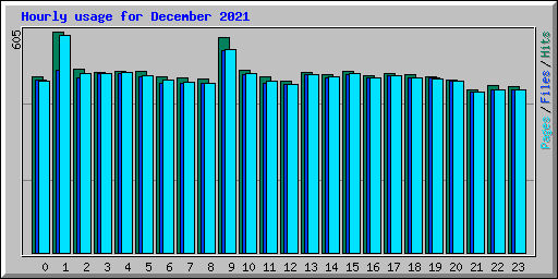 Hourly usage for December 2021