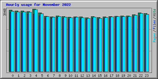 Hourly usage for November 2022