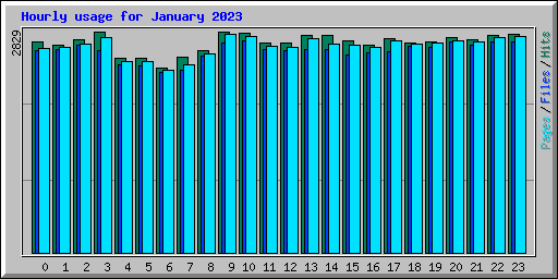 Hourly usage for January 2023