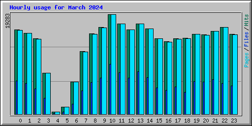 Hourly usage for March 2024