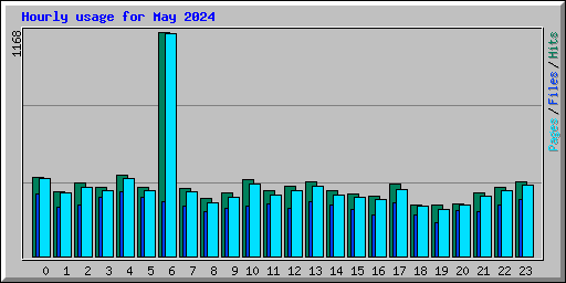 Hourly usage for May 2024