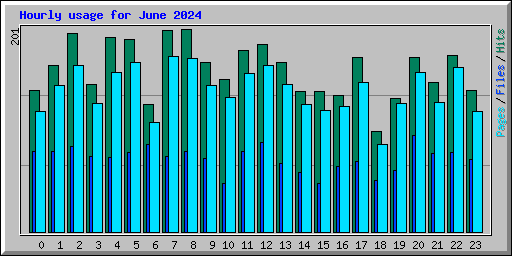 Hourly usage for June 2024