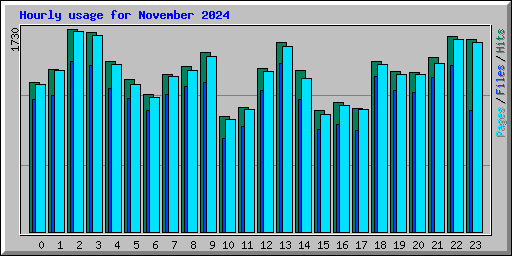 Hourly usage for November 2024