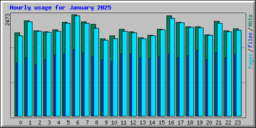 Hourly usage for January 2025