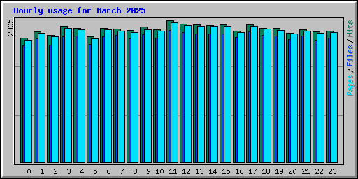 Hourly usage for March 2025