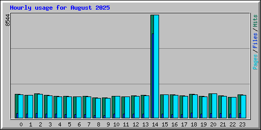 Hourly usage for August 2025