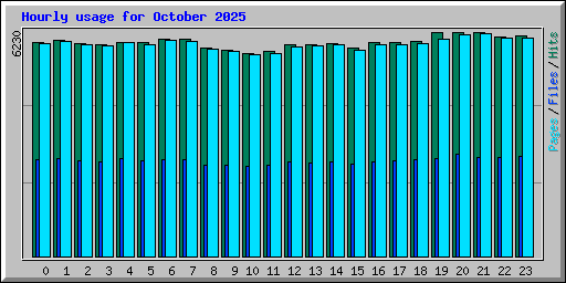 Hourly usage for October 2025