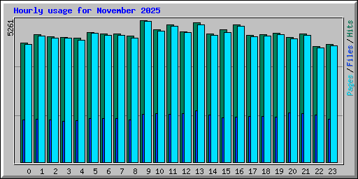 Hourly usage for November 2025