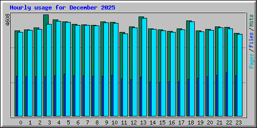 Hourly usage for December 2025